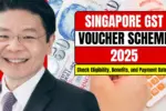 Singapore GST Voucher Scheme 2025